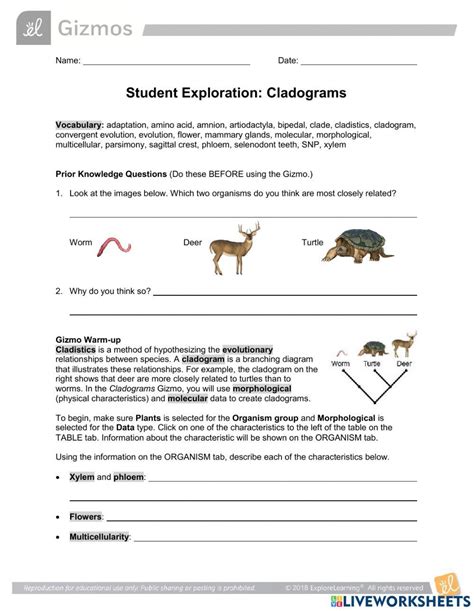 Cladogram-Simulation-Lab-GIZMOS-activity worksheet | Live Worksheets - Worksheets Library