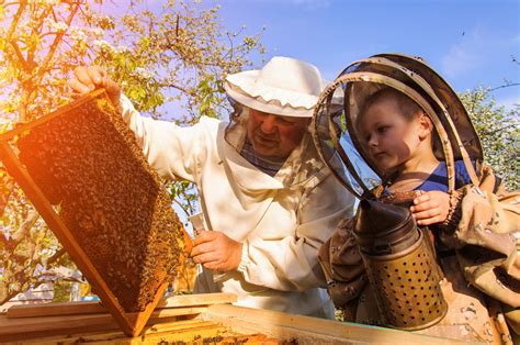 Beekeeping Terminology - What is Beekeeping Called? - Complete Beehives