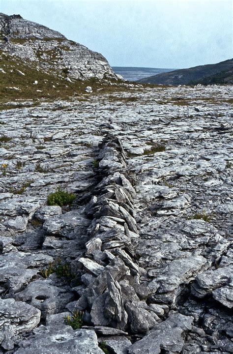 A LINE IN IRELAND | Richard long, Land art, Creative landscape