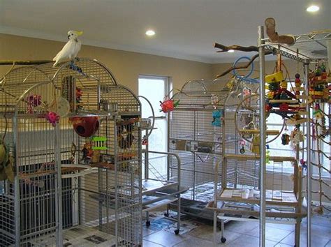 Bird Cages: Large Cockatoo Cage Setups | Discount Parrot Supplies | Bird toys, Pet bird cage ...