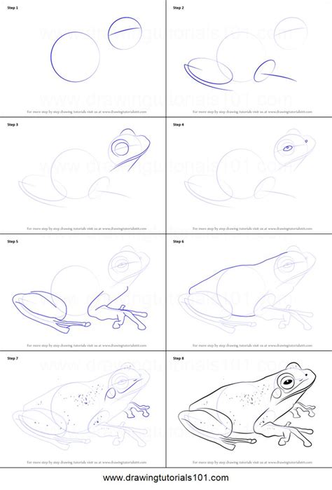 How to Draw a Green Tree Frog printable step by step drawing sheet : DrawingTutorials101.com ...