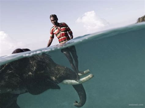 Elephant Underwater Photography 24 - Preview