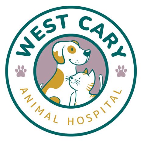 Pet Surgery In Cary, NC 27519 | West Cary Animal Hospital