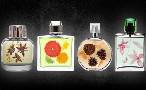 How Do Fragrance Families Works?