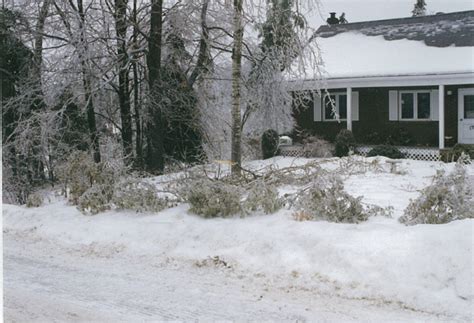 The 1998 Ice Storm – 20 years later – Tree Canada