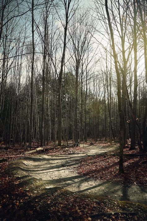 Some trail of mountain biking at mount Oak near bromont. Its in the ...