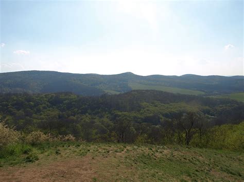 Hungary Mountain Forest - Free photo on Pixabay - Pixabay