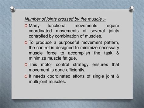 Muscle biomechanics