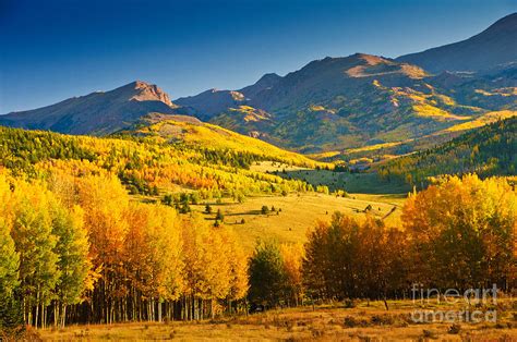 Golden Valley Photograph by Lynn Bills