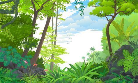 PNG Forest Background – FREE DOWNLOAD