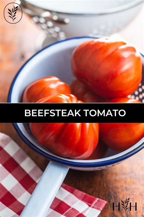 Beefsteak tomato 🍅 🌱 Uncover the secrets to growing this hearty slicer variety