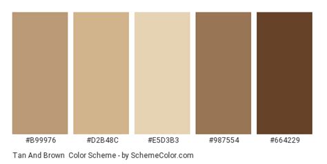 Tan And Brown Color Scheme » Brown » SchemeColor.com