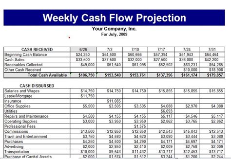 Business plan and cash flow forecast