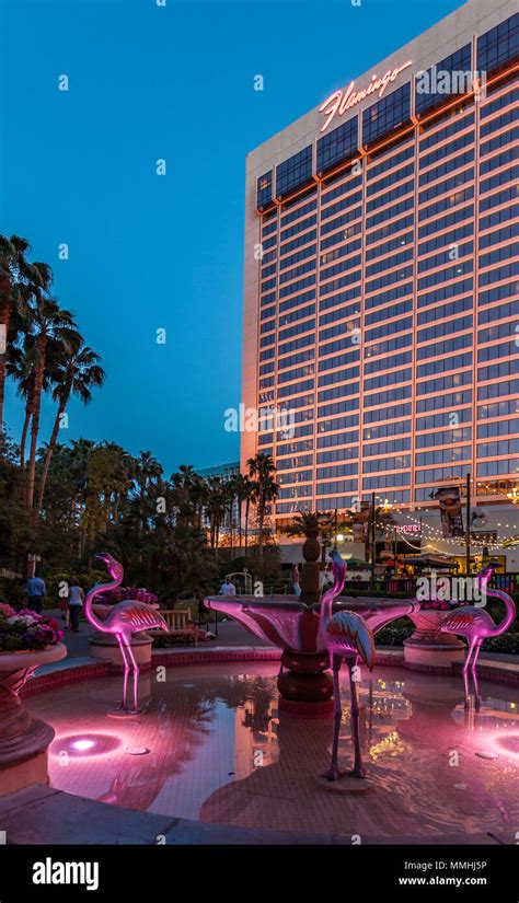 Pink flamingo fountain at the Flamingo Las Vegas Hotel and Casino on ...