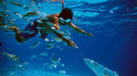 5 places to practice diving and snorkeling in Cozumel - Aquaworld