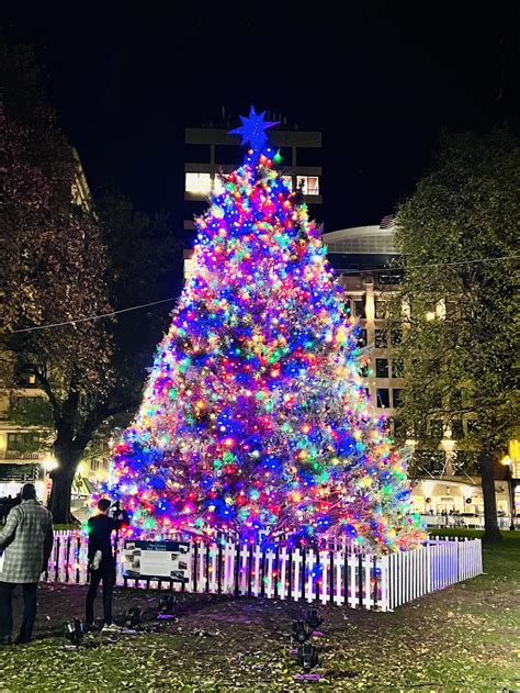 Boston Common lights Christmas Tree – The Suffolk Journal