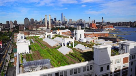 Rooftop Farming Is More Than a Green Thumb’s Urban Fantasy