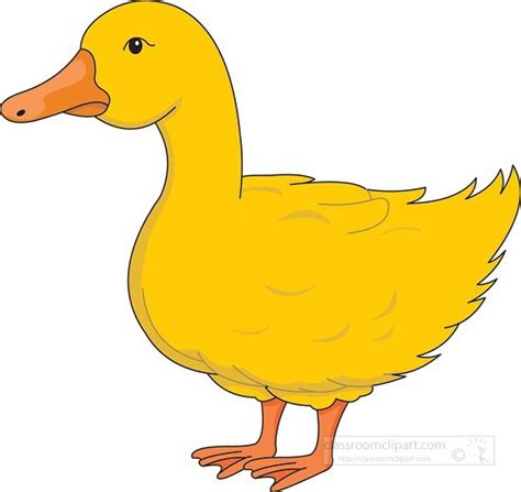 Duck Clipart-yellow duck vector clipart