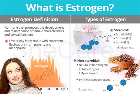 About Estrogen - Understanding estrogen's function | SheCares