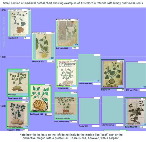 Voynich Manuscript plants | Voynich Portal