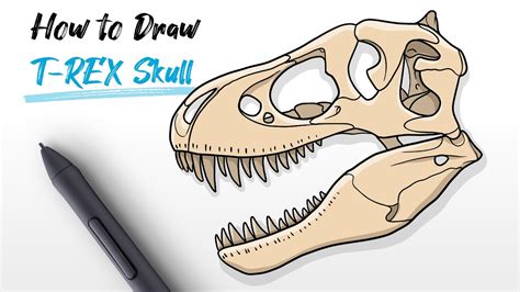 Tyrannosaurus Rex Skull Drawing