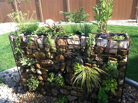 Gabion Wall Water and Plant Feature