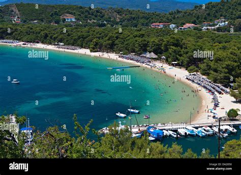 Koukounaries beach at Skiathos island in Greece Stock Photo - Alamy