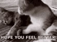 Hope You Feel Better GIFs | Tenor