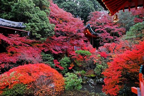 Free stock photo of japan, kyoto, temple