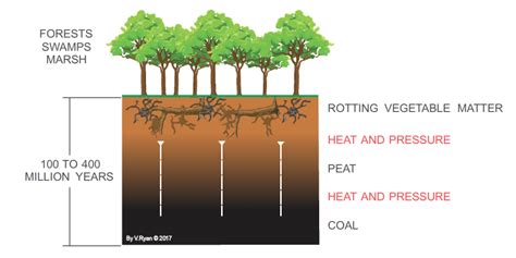 FOSSIL FUELS - COAL | Coal, Fossil, Fossil fuels