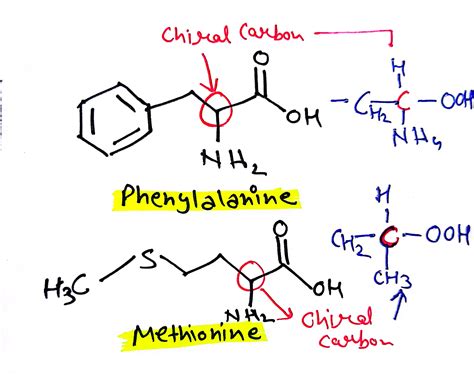 [Solved] Identify the two chiral centers of the two amino acids and ...