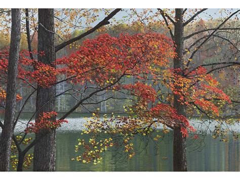 CLOPPER LAKE IN AUTUMN COLORS | Tiberius Art Studio