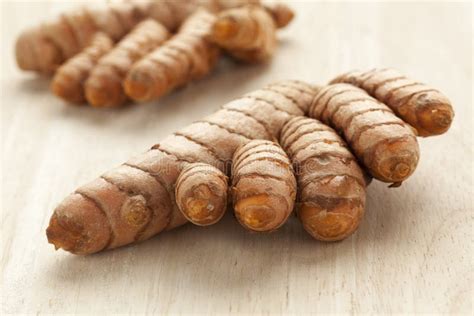 Fresh Turmeric rhizomes stock image. Image of spice, medicine - 70262595