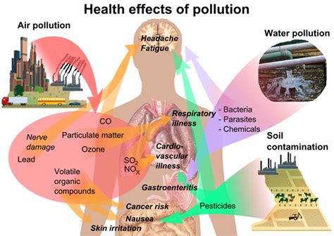 Air Pollution | Definition, Source, Effects & Prevention | Chemistry | Byju's