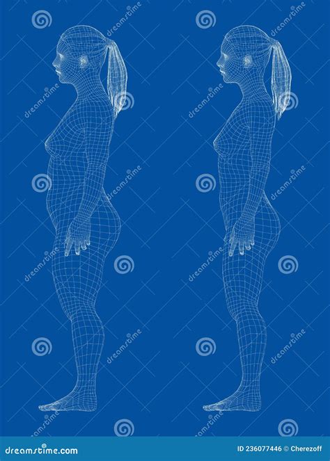 Fat and Slim Woman, before and after Weight Loss Stock Illustration - Illustration of lifestyle ...