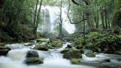 Tasmania Waterfall – Bing Wallpaper Download