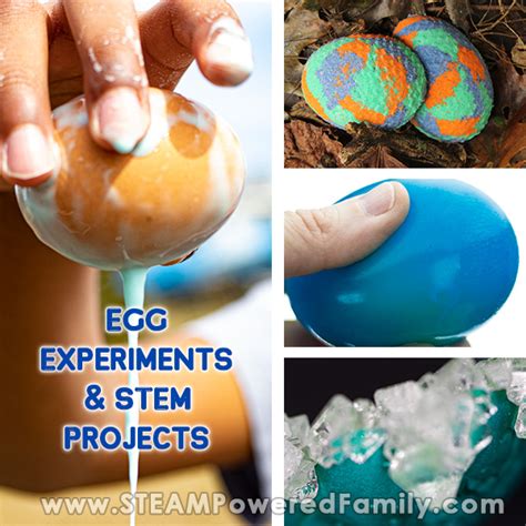 Genius Egg Experiments and STEM Projects For All Young Scientists