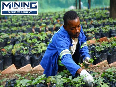 ERG in Africa-Planting the seeds for a greener DRC