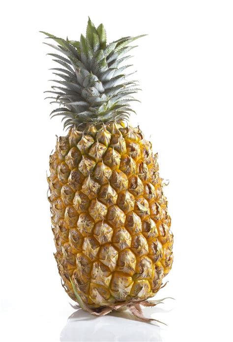 Big pineapple stock image. Image of drink, organic, gourmet - 41469165