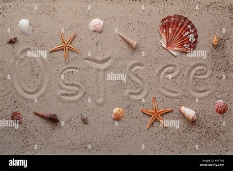 wallpaper with shells and starfish Stock Photo - Alamy