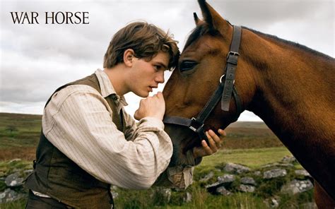 War Horse - War Horse The movie Wallpaper (28219793) - Fanpop