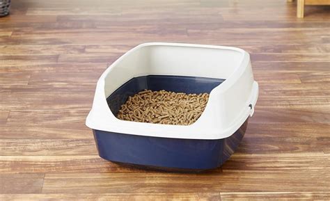 3 Best Wood Pellet Cat Litters - 2024 Reviews & Top Picks | Hepper