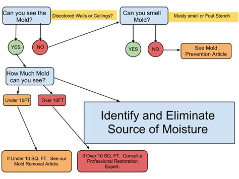 Mold Prevention Tips - Premier Restoration