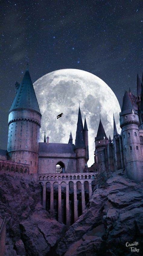 Harry Potter Hogwarts Wallpaper | Harry potter esprileri, Harry potter fanları, Büyücülük