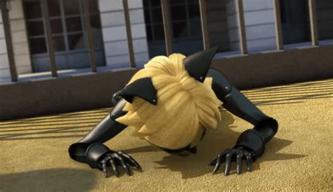 How did Cat Noir survive this Cataclysm? : r/miraculousladybug