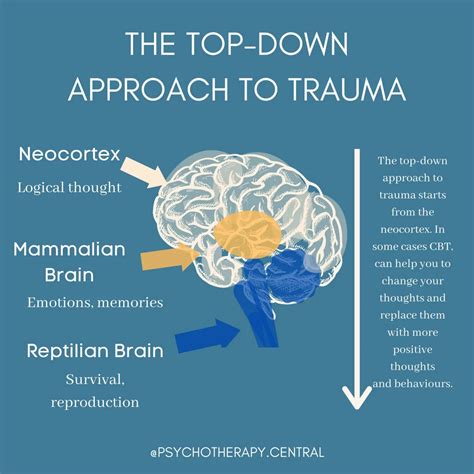 The Difference Between ‘Top-Down’ and ‘Bottom-Up’ Approach for C-PTSD, and Why It Matters – The ...