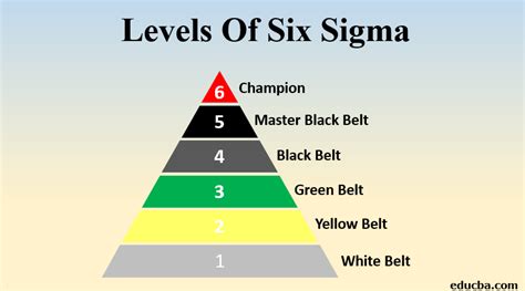 Six Sigma Belts