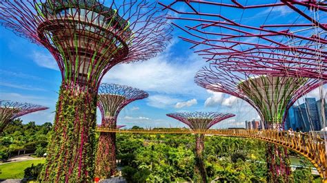 Singapore Gardens By The Bay Ocbc Skyway - Bios Pics