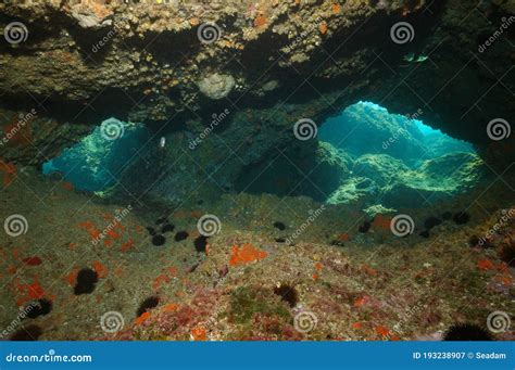 Openings Inside Sea Cave Underwater Mediterranean Stock Image - Image of scene, natural: 193238907