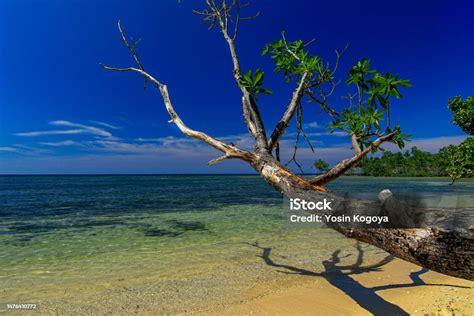 Pasir Putih Beach Stock Photo - Download Image Now - Asia, Beach, Color ...